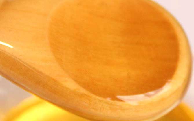 稀有蜜種的種類及介紹 黃芪蜜