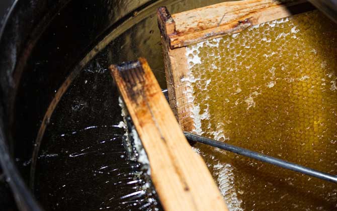 蜂蜜價格為什么高低不等? 蜂蜜