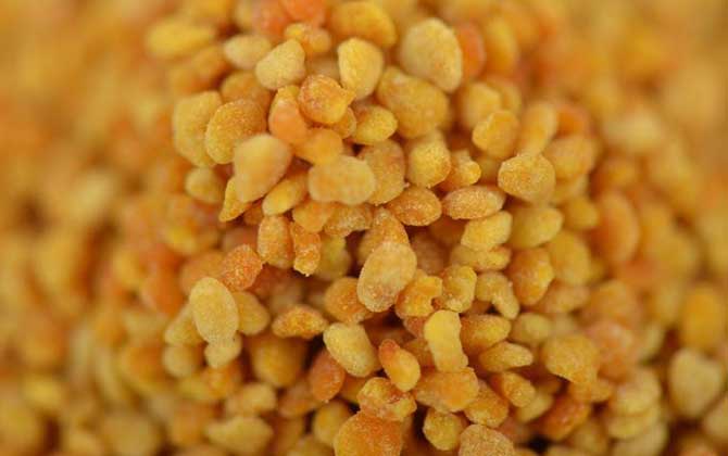 蜂花粉怎么吃效果好?吃對了好處不用多說,吃錯了反而可能有害! 蜂花粉