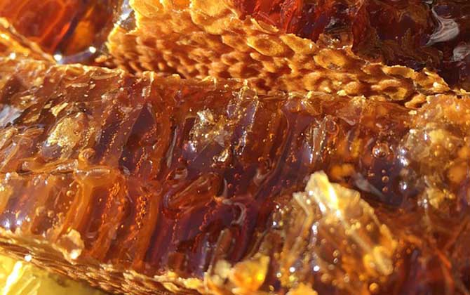 蜂巢酒的禁忌有哪些?除了不能過量飲用,還要警惕發生過敏反應! 蜂巢