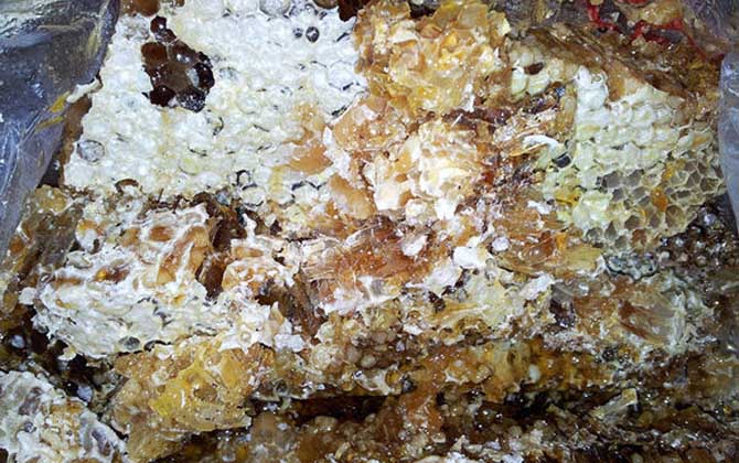 土蜂蜜的作用與功效有哪些?經(jīng)常喝土蜂蜜,這7個好處跑不了! 土蜂蜜