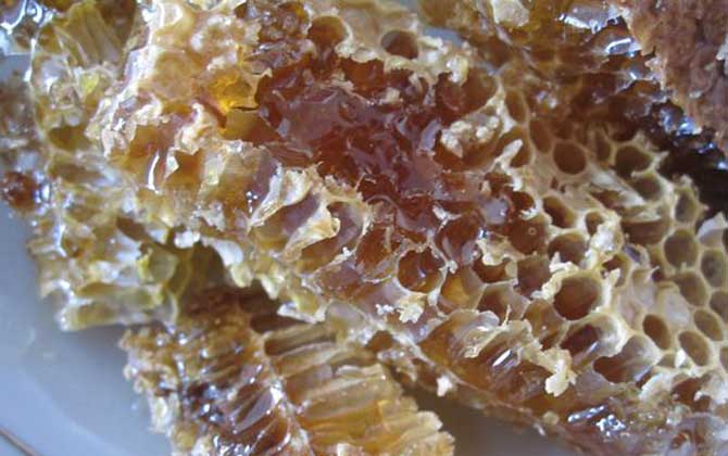 土蜂蜜的作用與功效有哪些?經(jīng)常喝土蜂蜜,這7個好處跑不了! 土蜂蜜