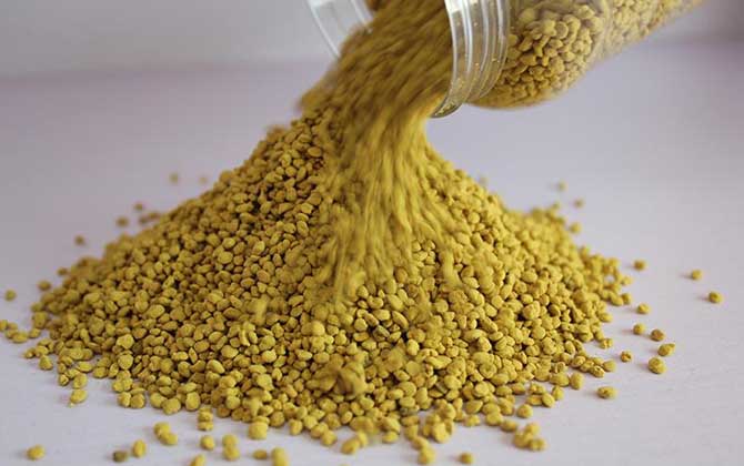 男人吃花粉能壯陽嗎?有一定的輔助效果,但必須要堅持服用! 花粉