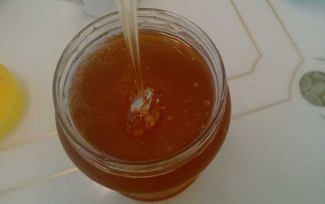 柑橘蜜的功效與作用及食用方法 柑橘蜜