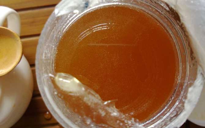 桉樹蜜的作用與功效及食用方法 桉樹蜜