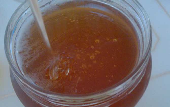 桉樹蜜的作用與功效及食用方法 桉樹蜜