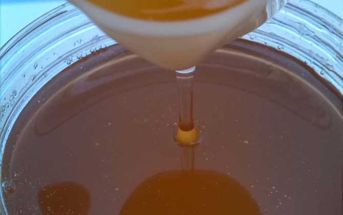 中國四大名蜜是哪四種? 荊條蜜