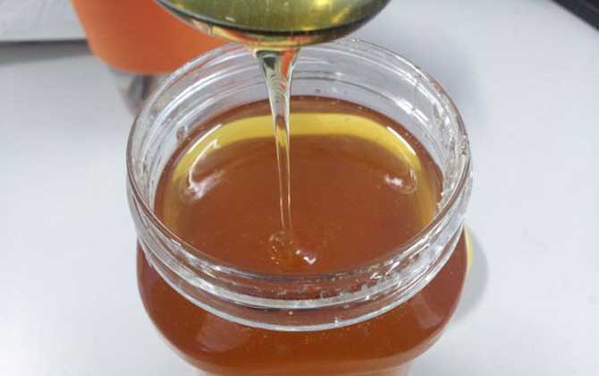 薄荷蜜的作用與功效及食用方法 薄荷蜜