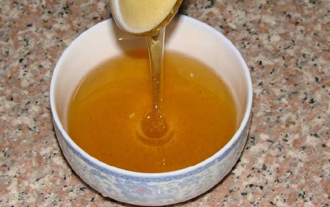 黃連蜜的作用與功效及食用方法 黃連蜜