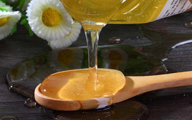 桐花蜜的作用與功效及食用方法 桐花蜜