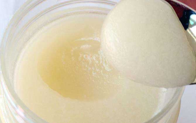 雪脂蓮蜜價(jià)格多少錢一斤? 雪脂蓮蜜