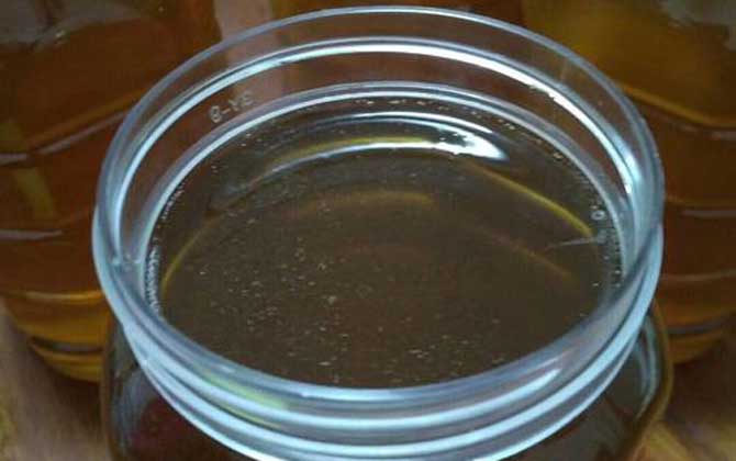 龍眼蜜價格多少錢一斤? 龍眼蜜