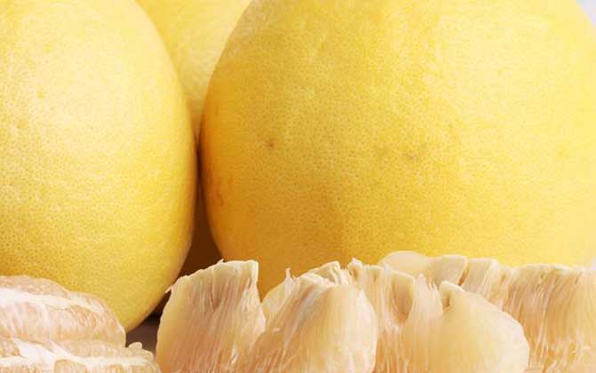 自制蜂蜜柚子茶怎么做最簡單? 蜂蜜柚子茶