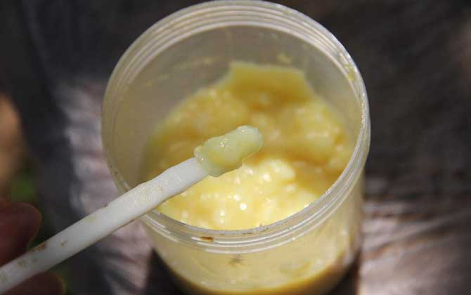 蜂王漿在冰箱中保質(zhì)期多久? 蜂王漿