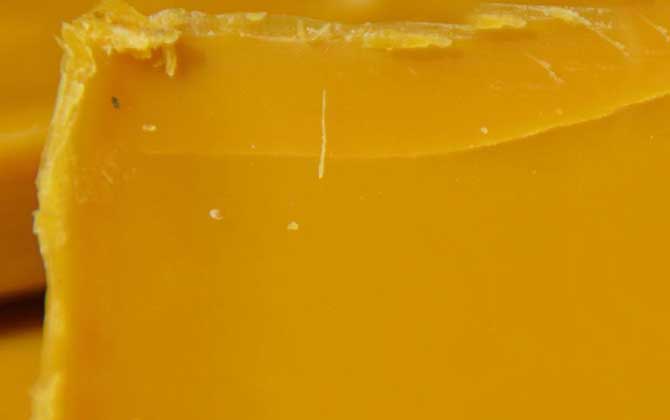 蜂蠟是什么東西制成的? 蜂蠟