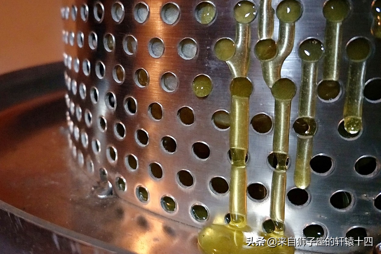 探尋養蜂人，取蜂蜜要用煙熏