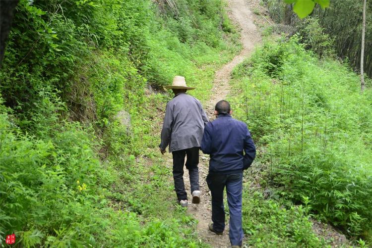 81歲老人養(yǎng)蜂半世紀(jì)，自創(chuàng)多種養(yǎng)蜂工具，怕蜜蜂丟失樹下睡3個(gè)月