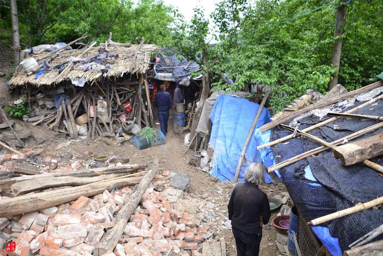 81歲老人養(yǎng)蜂半世紀(jì)，自創(chuàng)多種養(yǎng)蜂工具，怕蜜蜂丟失樹下睡3個(gè)月