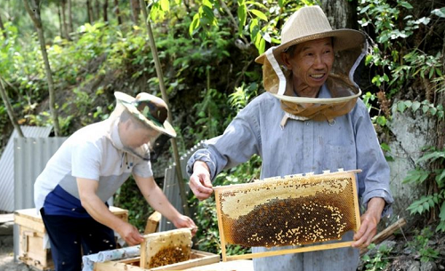 大爺在深山養(yǎng)蜂，年入二十萬，蓋洋房給兒子娶媳婦