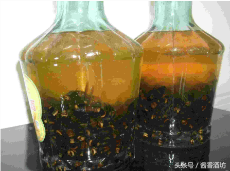 如何浸泡金環胡蜂酒，金環胡蜂酒制作方法