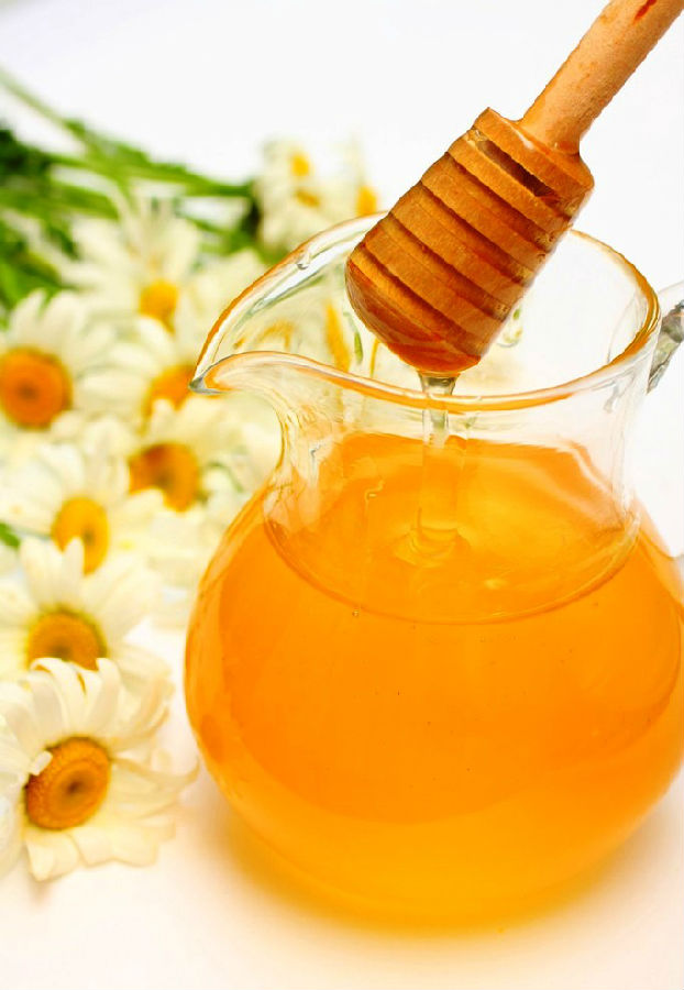 蜂王與工蜂嘴對嘴是什么意思(工蜂為什要觸碰和舔蜂王呢) 蜂王與工蜂嘴對嘴是什么意思(工蜂為什要觸碰和舔蜂王呢)