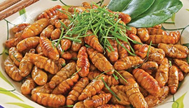 蜂蛹和蠶蛹有什么區別(蜂蛹和蠶蛹的營養價值一樣嗎) 蜂蛹和蠶蛹有什么區別(蜂蛹和蠶蛹的營養價值一樣嗎)