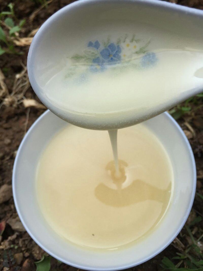 冬蜜和春蜜的區別(冬蜜和春蜜比哪個好一點) 冬蜜和春蜜的區別(冬蜜和春蜜比哪個好一點)