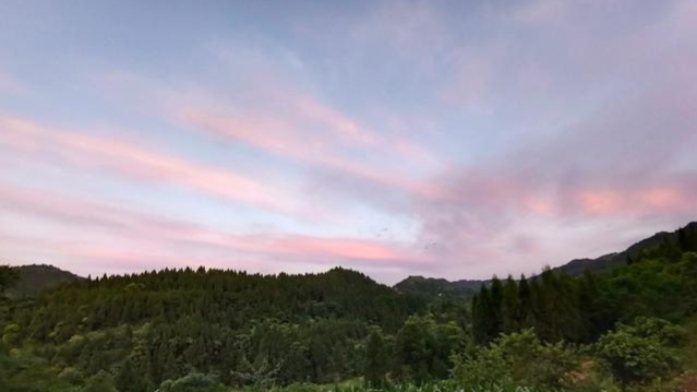 取蜜時(shí)刮蜜刀是怎么用的（取蜜的3種常用方法）