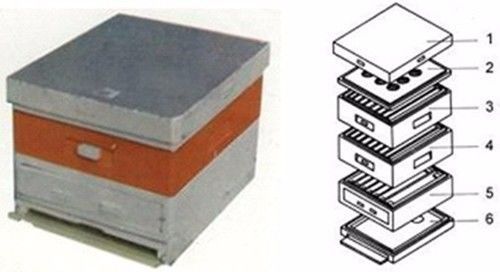 怎么看蜜蜂生病沒(蜜蜂疾病觀察診斷技術(shù)) 怎么看蜜蜂生病沒(蜜蜂疾病觀察診斷技術(shù))