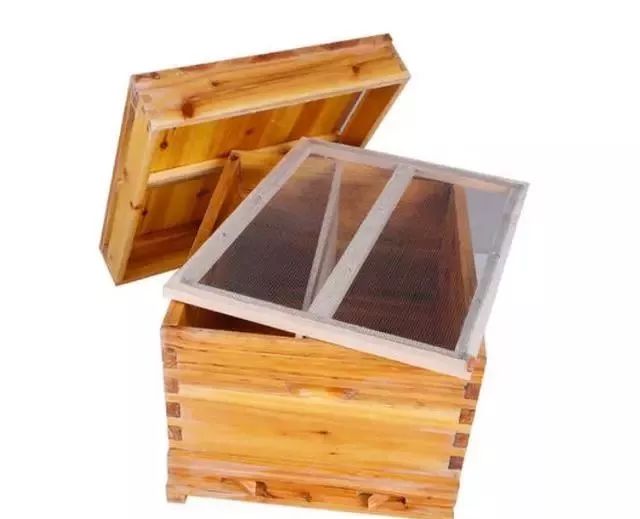 怎么看蜜蜂生病沒(蜜蜂疾病觀察診斷技術(shù)) 怎么看蜜蜂生病沒(蜜蜂疾病觀察診斷技術(shù))