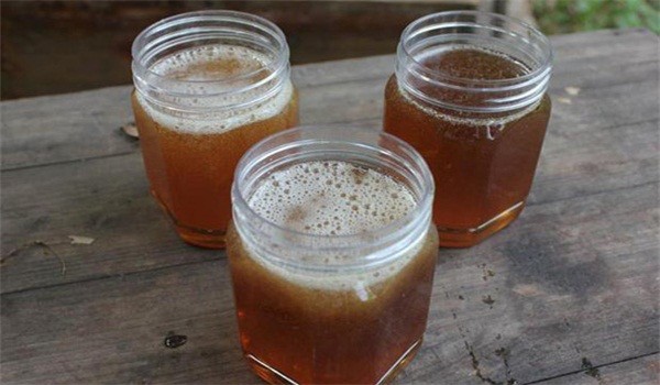 蜂蜜發(fā)酵有酒味還能吃嗎(蜂蜜起白色泡沫有酒精味) 蜂蜜發(fā)酵有酒味還能吃嗎(蜂蜜起白色泡沫有酒精味)