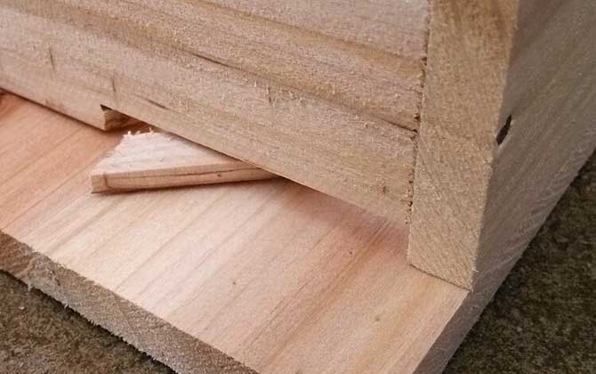 標(biāo)準(zhǔn)中蜂箱多少錢一個(中蜂箱種類及參考價格) 標(biāo)準(zhǔn)中蜂箱多少錢一個(中蜂箱種類及參考價格)