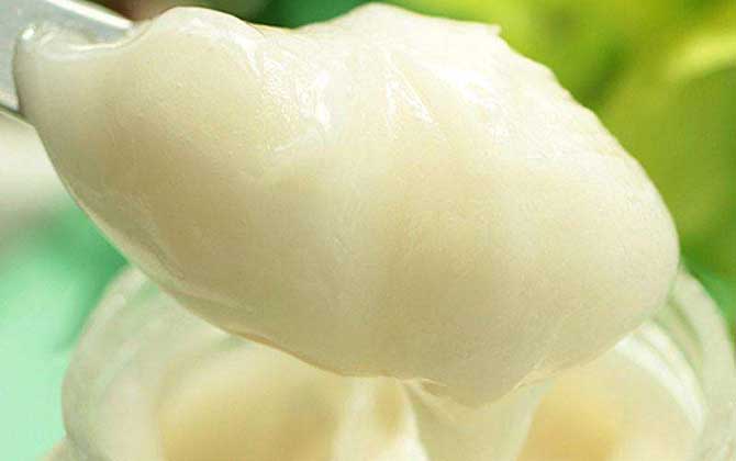 黑蜂蜂蜜的作用與功效及食用方法 黑蜂蜂蜜的作用與功效及食用方法