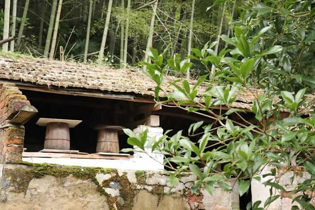 什么是土法養蜂技術? 什么是土法養蜂技術?