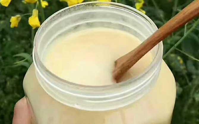 一百畝油菜花產(chǎn)多少蜜（油菜花蜜的特點）