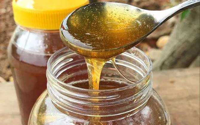 烏桕蜜多少錢(qián)一斤 烏桕蜜多少錢(qián)一斤