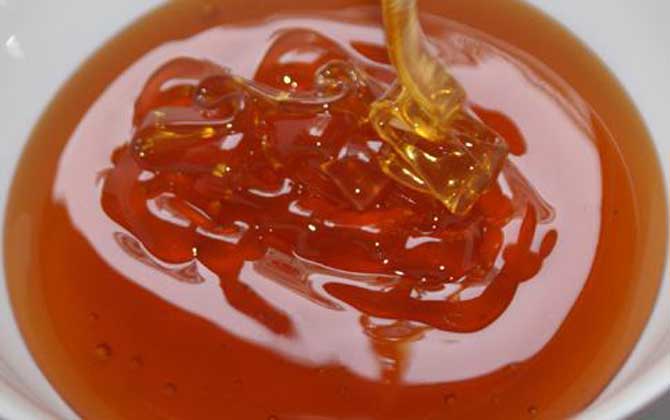 五倍子花有蜜嗎（五倍子蜜）