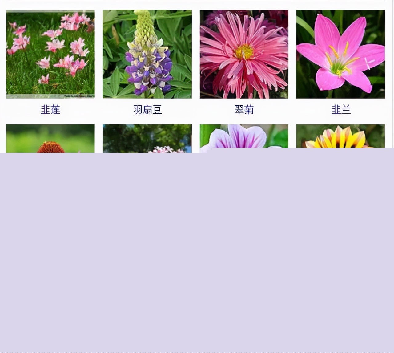 植物品種名稱大全（最常見的800種景觀觀花植物，附植物習性種植）