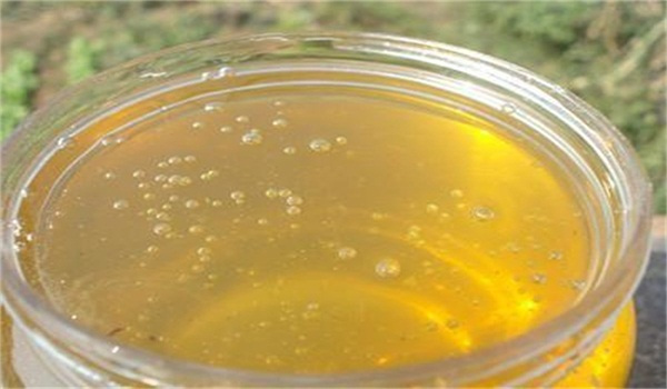 處女王交尾成功工蜂有什么表現(xiàn)(中蜂王交尾成功工蜂表現(xiàn)) 處女王交尾成功工蜂有什么表現(xiàn)(中蜂王交尾成功工蜂表現(xiàn))