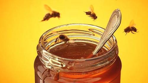 康維他蜂蜜可以加檸檬嗎(檸檬康維他蜂蜜水的制作方法) 康維他蜂蜜可以加檸檬嗎(檸檬康維他蜂蜜水的制作方法)