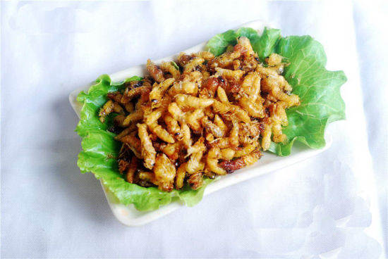 蜂蛹的做法大全(附帶9種蜂蛹做法) 蜂蛹的做法大全(附帶9種蜂蛹做法)