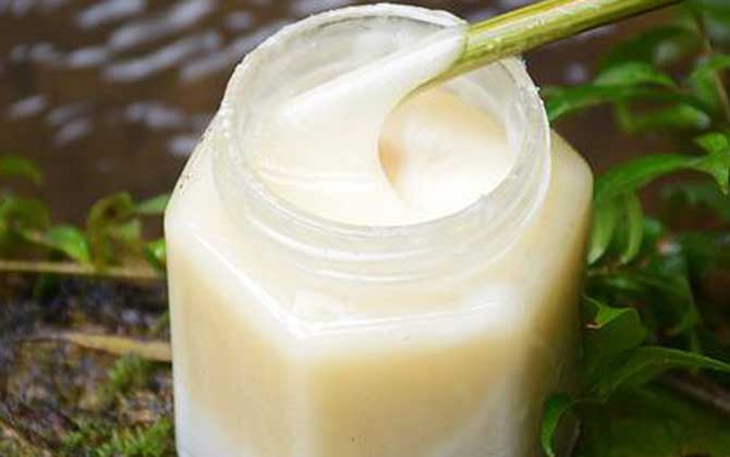 鴨腳木蜜是涼性的嗎(鴨腳木蜜的蜂蜜特性) 鴨腳木蜜是涼性的嗎(鴨腳木蜜的蜂蜜特性)