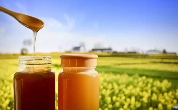 市面上的蜂蜜和成熟蜜的區別(市面上的蜂蜜多為“水蜜”,其營養比成熟蜜差多少) 市面上的蜂蜜和成熟蜜的區別(市面上的蜂蜜多為“水蜜”,其營養比成熟蜜差多少)