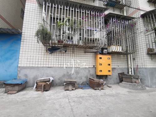 城市陽臺養蜂技術(家庭養蜂需要什么條件) 城市陽臺養蜂技術(家庭養蜂需要什么條件)