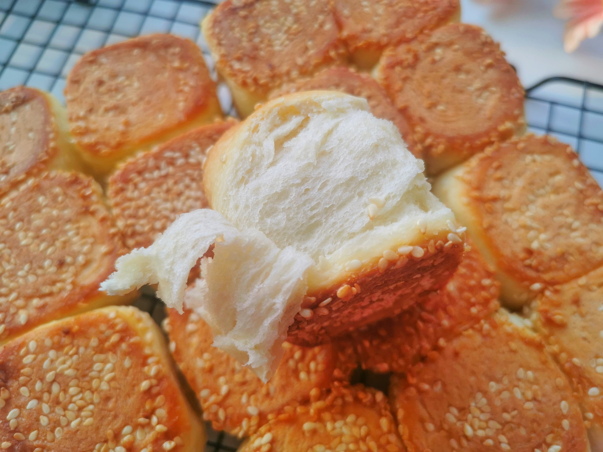 蜂蜜小面包的做法(家庭蜂蜜小面包的做法) 蜂蜜小面包的做法(家庭蜂蜜小面包的做法)