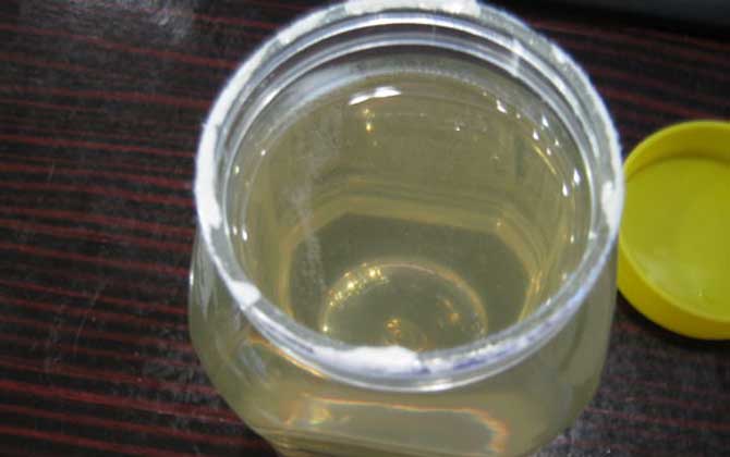 紫云英蜂蜜和洋槐蜂蜜哪個好(紫云英蜂蜜和洋槐蜂蜜的對比) 紫云英蜂蜜和洋槐蜂蜜哪個好(紫云英蜂蜜和洋槐蜂蜜的對比)