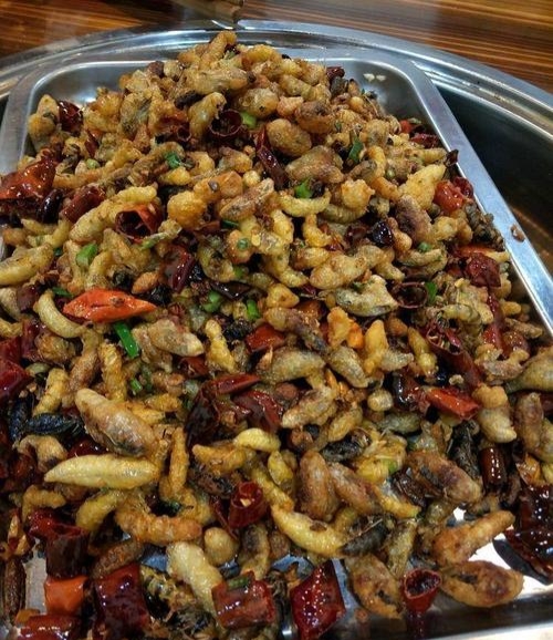 胡蜂養殖市場分析(學點皮毛輕松掌握胡蜂養殖技術) 胡蜂養殖市場分析(學點皮毛輕松掌握胡蜂養殖技術)