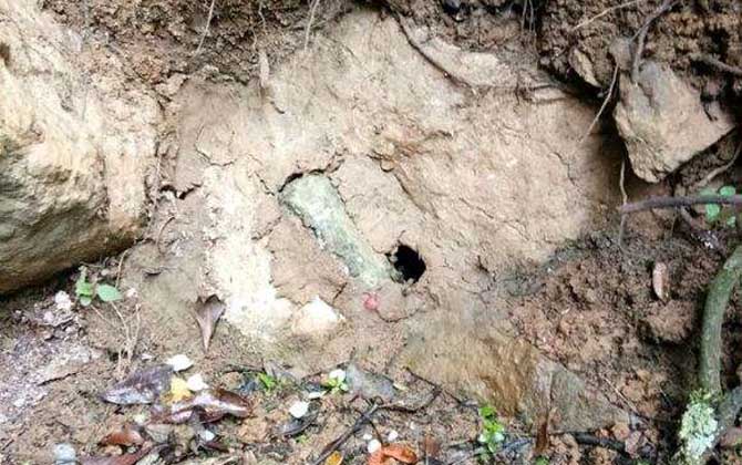 誘蜂洞挖在什么地方好？