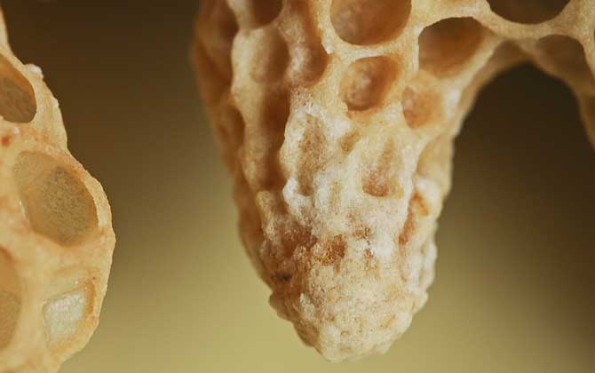 王臺(tái)封蓋后幾天能人工分蜂？