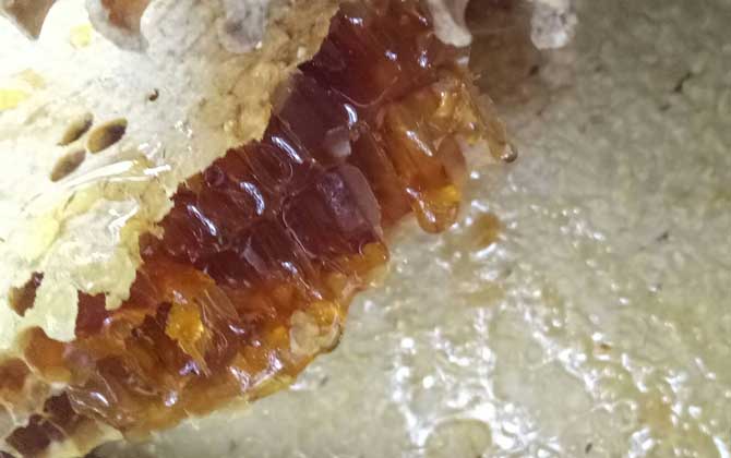 蜂蜜價格多少錢一斤？因蜂蜜種類的不同，蜂蜜價格也千差萬別！